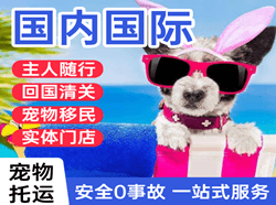 北京大兴空运国际宠物托运 【国